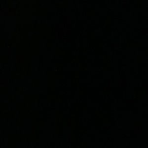 Meet your Posher, Bailey